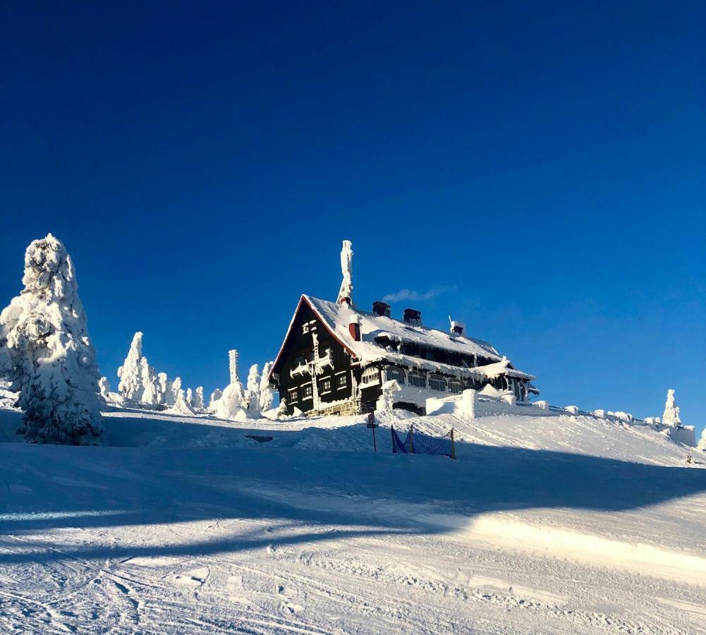 Ski Sun Sea - Rodzinny Apartament Pod Gondola Сверадув-Здруй Экстерьер фото